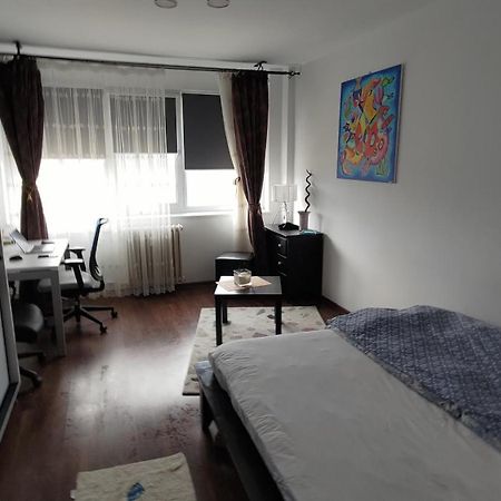 Studio Leo 이아시 외부 사진